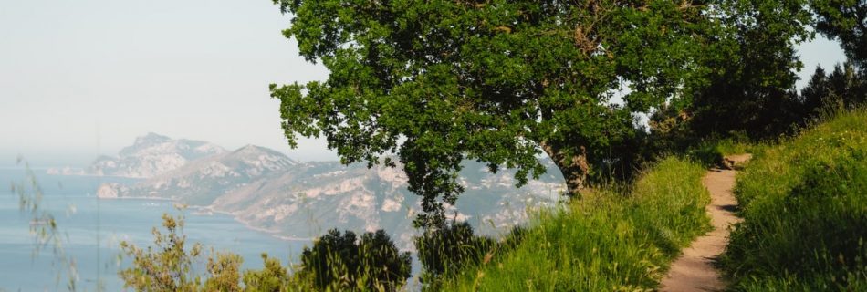 Explore the lush greenery and coastal views of Amalfi's scenic trail, perfect for nature walks and travel inspiration.
