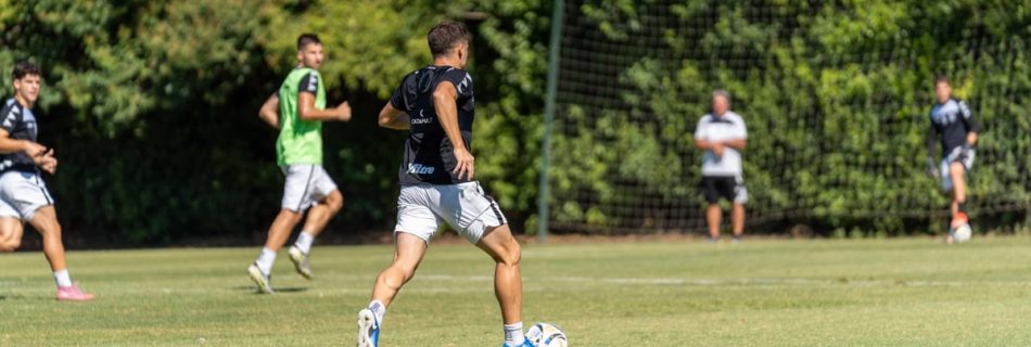 Group of male soccer players practicing on a sunny outdoor field with lush green background.